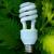 Why going green can help your business thrive